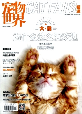 宠物世界(猫迷)杂志