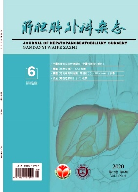 肝胆胰外科杂志