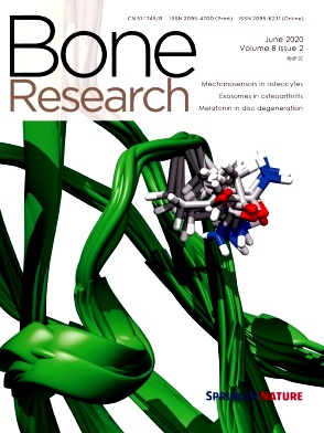 Bone Research杂志