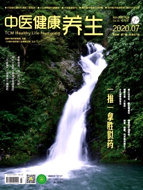中医健康养生杂志