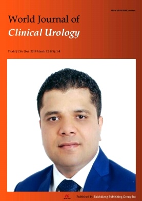 World Journal of Clinical Urology杂志