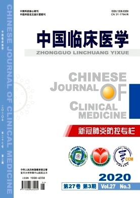 中国临床医学杂志