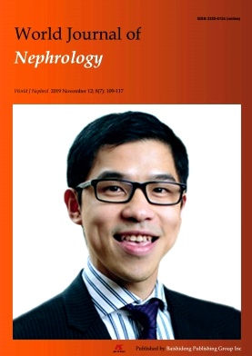 World Journal of Nephrology杂志