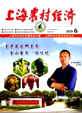 上海农村经济杂志