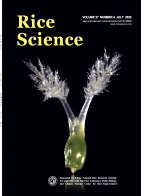 Rice Science杂志