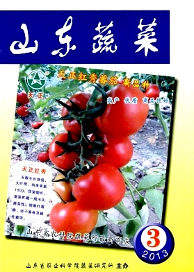山东蔬菜杂志