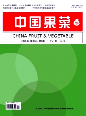 中国果菜杂志
