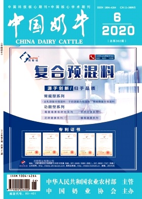 中国奶牛杂志