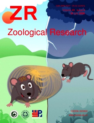 Zoological Research杂志