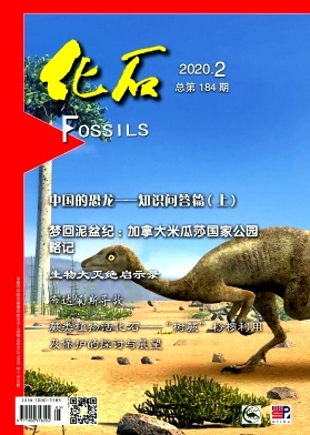 化石杂志